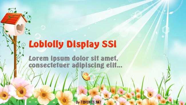 Loblolly Display SSi example